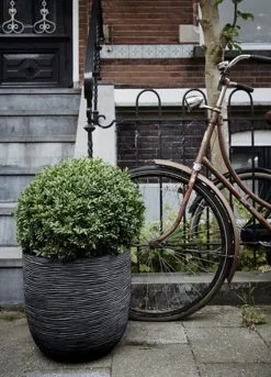 Capi Europe - Bloempot Bol Rib NL - 35x34 - Zwart - Voor Binnen En Buiten - KBLR932 -Bloem Garden Verkoop 864x1200