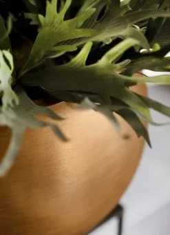 Capi Europe - Vaas Bol Retro - 30x25 - Goud - Bloempot Voor Binnen - BRTG104 -Bloem Garden Verkoop 869x1200