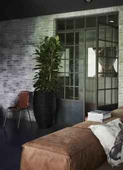 Capi Europe - Vaas Elegant Deluxe Rib NL - 56x84 - Zwart - Voor Binnen En Buiten - KBLR1132 12 Capi Europe - Vaas Elegant Deluxe Rib NL - 56x84 - Zwart - Voor Binnen En Buiten - KBLR1132 -Bloem Garden Verkoop 873x1200