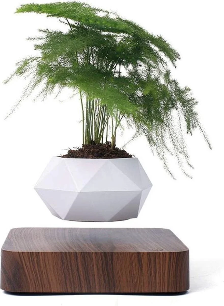 Floatey Design Plant | Zwevende Plant - Bloempot (levitation) 1 Floatey Design Plant | Zwevende Plant - Bloempot (levitation)