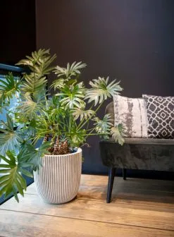 Capi Europe - Bloempot Bol Groove NL - 35x34 - Goud - Voor Binnen En Buiten - KGVGB932 -Bloem Garden Verkoop 883x1200