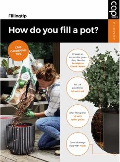 Capi Europe - Bloempot Bol Smooth NL - 43x41 - Zwart - Voor Binnen En Buiten - KBL933 25 Capi Europe - Bloempot Bol Smooth NL - 43x41 - Zwart - Voor Binnen En Buiten - KBL933 -Bloem Garden Verkoop 895x1200