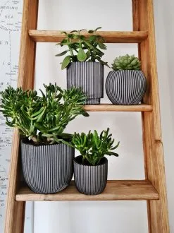 Capi Europe - Set Van 4 - Bloempot Binnen - Groove - Antraciet 8 Capi Europe - Set Van 4 - Bloempot Binnen - Groove - Antraciet -Bloem Garden Verkoop 899x1200 2