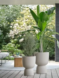 Elho Pure Coupe 41 - Bloempot Voor Binnen & Buiten - Ø 41.3 X H 57.9 Cm - Beige/Balanced Beige -Bloem Garden Verkoop 900x1200 12