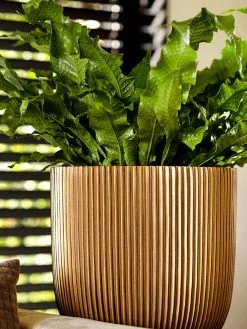 Capi Europe - Bloempot Bol Groove - 23x21 - Goud - Bloempot Voor Binnen - BGVGB134 -Bloem Garden Verkoop 900x1200 21