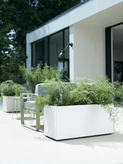 Elho Vivo Matt Finish Lang Wielen 90 - Grote Staande Plantenbak Voor Binnen & Buiten - Gemaakt Van Gereycled Plastic - L 39 X W 88 X H 41 Cm - Zwart 18 Elho Vivo Matt Finish Lang Wielen 90 - Grote Staande Plantenbak Voor Binnen & Buiten - Gemaakt Van Gereycled Plastic - L 39 X W 88 X H 41 Cm - Zwart -Bloem Garden Verkoop 900x1200 38