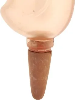 JS Drippy - Waterdruppelaars Set Van 2 Stuks - Druppelaar Vogel - Druppelsysteem Planten - Watergeefsysteem Kamerplanten - Waterbol - Roze -Bloem Garden Verkoop 900x1200 47