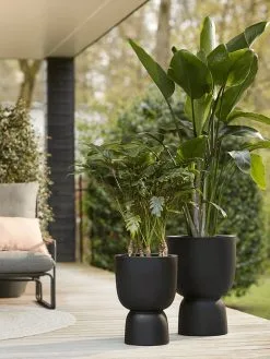 Elho Pure Coupe 35 - Bloempot Voor Binnen & Buiten - Ø 34.9 X H 49.0 Cm - Zwart/Zwart -Bloem Garden Verkoop 900x1200 5