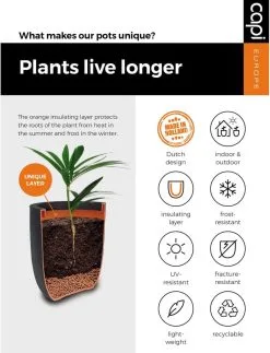 Capi Europe - Bloempot Bol Smooth NL - 43x41 - Zwart - Voor Binnen En Buiten - KBL933 23 Capi Europe - Bloempot Bol Smooth NL - 43x41 - Zwart - Voor Binnen En Buiten - KBL933 -Bloem Garden Verkoop 917x1200 4