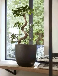 Capi Europe - Bloempot Bol Smooth NL - 35x34 - Zwart - Voor Binnen En Buiten - KBL932 -Bloem Garden Verkoop 923x1200