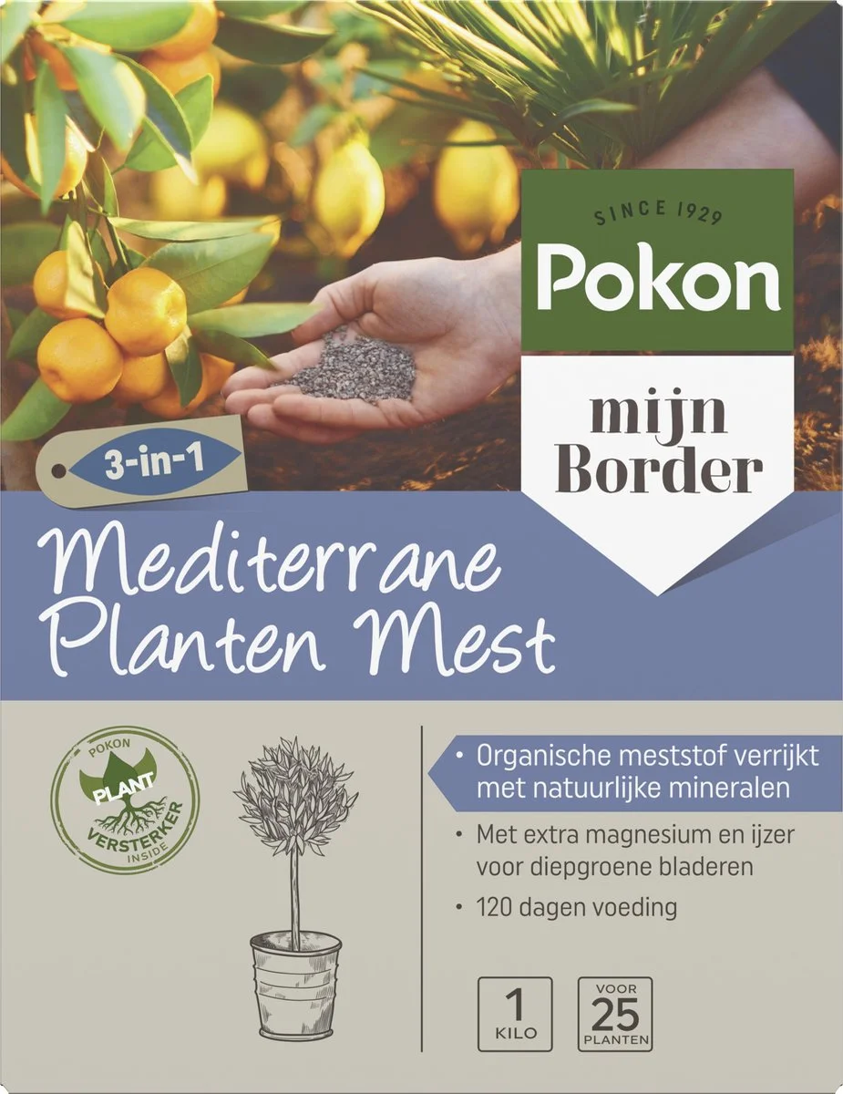 Pokon Mediterrane Planten Mest - 1kg - Meststof - 3-in-1 Werking 1 Pokon Mediterrane Planten Mest - 1kg - Meststof - 3-in-1 Werking
