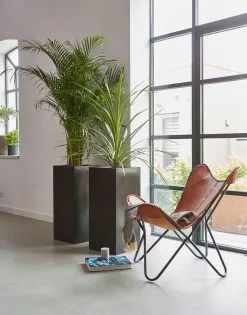 Capi Europe - Bloempot Rechthoek Smooth NL - 36x36x79 - Zwart - Voor Binnen En Buiten - KBL952 -Bloem Garden Verkoop 941x1200 1