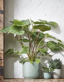 Mica Decorations Daan Bloempot - H17,5 X Ø19 Cm - Groen -Bloem Garden Verkoop 942x1200