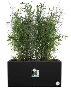 Elho Vivo Next Lang 60 - Bloempot Voor Binnen & Buiten - Ø 59.0 X H 29.2 Cm - Zwart/Living Black -Bloem Garden Verkoop 956x1200