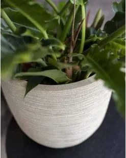 Capi Europe - Bloempot Bol Waste Rib NL - 43x41 - Terrazzo Beige - Voor Binnen En Buiten - KTBR933 16 Capi Europe - Bloempot Bol Waste Rib NL - 43x41 - Terrazzo Beige - Voor Binnen En Buiten - KTBR933 -Bloem Garden Verkoop 960x1200 1