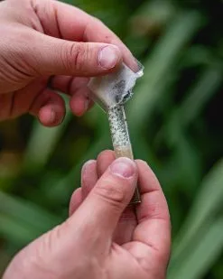 ECOstyle PH Bodemtest - Zuurtegraad Meter Voor Grond - Bepaal Kalk Behoefte Voor Tuin En Gazon - 8 Testen 19 ECOstyle PH Bodemtest - Zuurtegraad Meter Voor Grond - Bepaal Kalk Behoefte Voor Tuin En Gazon - 8 Testen -Bloem Garden Verkoop 960x1200 5