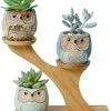 PlantCerra Luxe Bamboe Houten Boom Met 3 Keramiek Uil Bloempotten/Plantenpotten Op Standaard/Voet Voor Binnen En Buiten - Modern Design Bloempot/Plantenpot Op Poten/Pootjes-Plantenbak Mini Cactus Nep Plant Pot Houder - Kleine Bloembakken Plantenrek/Plantenkurk