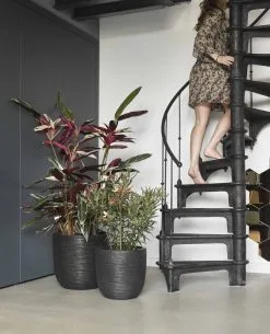 Capi Europe - Bloempot Bol Rib NL - 54x52 - Zwart - Voor Binnen En Buiten - KBLR935 -Bloem Garden Verkoop 972x1200