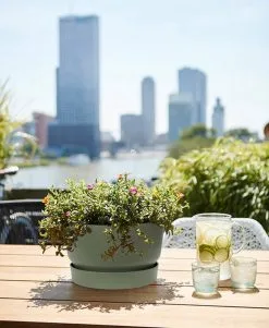 Elho Greenville Schaal 33 - Bloempot Voor Buiten - Ø 32.5 X H 19.4 Cm - Groen/Blad Groen -Bloem Garden Verkoop 986x1200