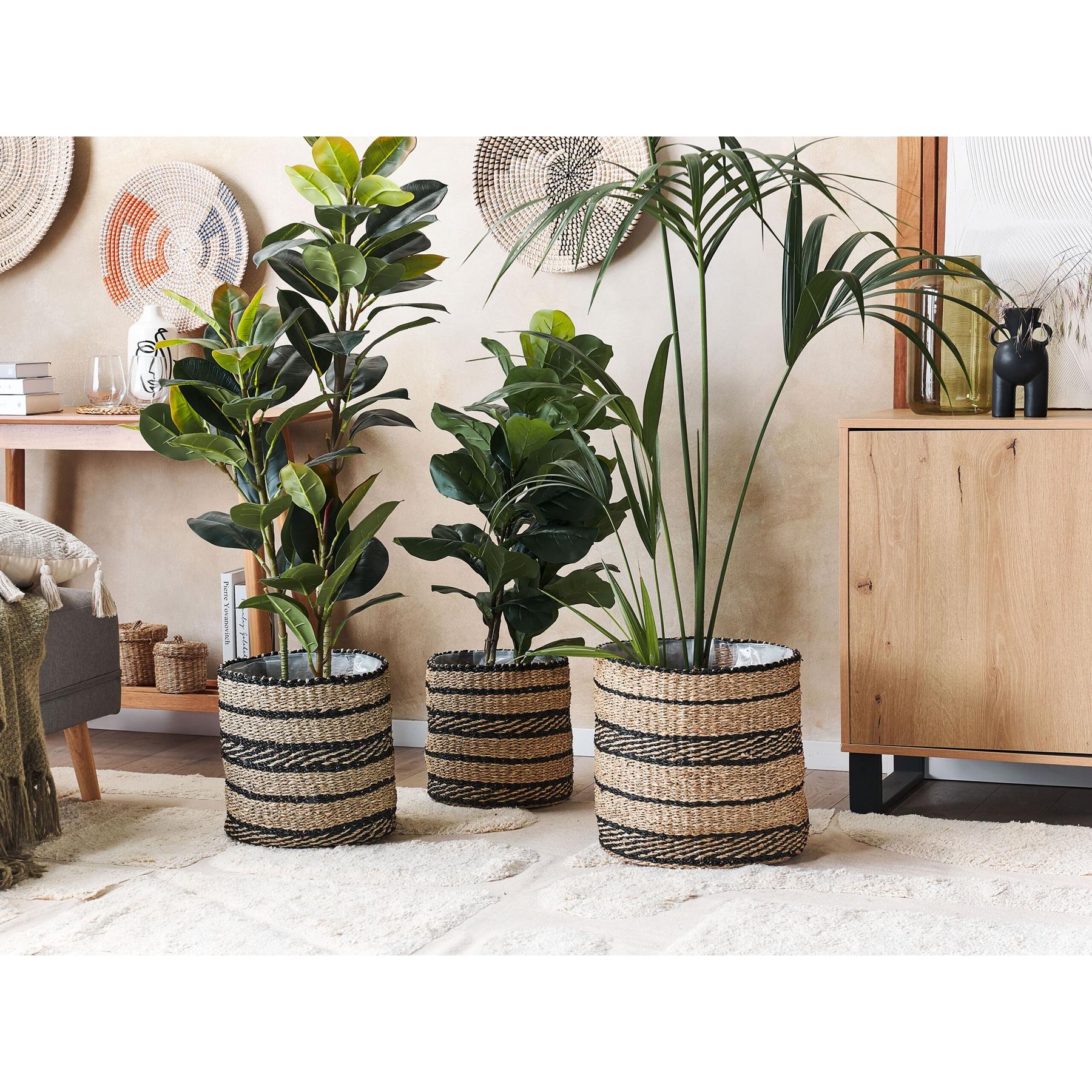 Bloem Garden Verkoop 2 Bloem Garden Verkoop -Bloem Garden Verkoop 98989