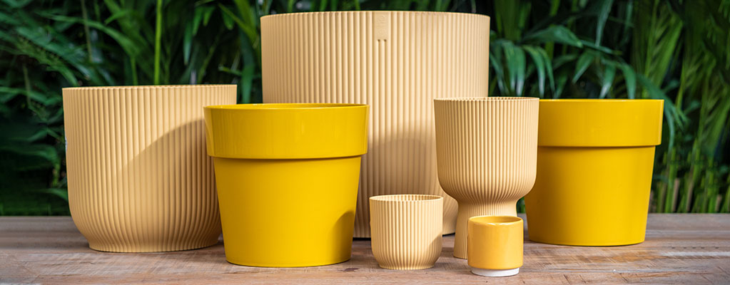 Bloem Garden Verkoop 44 Bloem Garden Verkoop -Bloem Garden Verkoop 989890