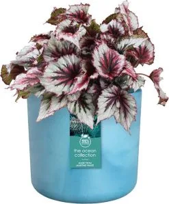 Elho The Ocean Collection Round 22cm - Bloempot Voor Binnen - 100% Gerecycled Materiaal - Gemaakt Met Zeeafval - Ø 22.3 X H 20.4 Cm - Atlantisch Blauw -Bloem Garden Verkoop 995x1200